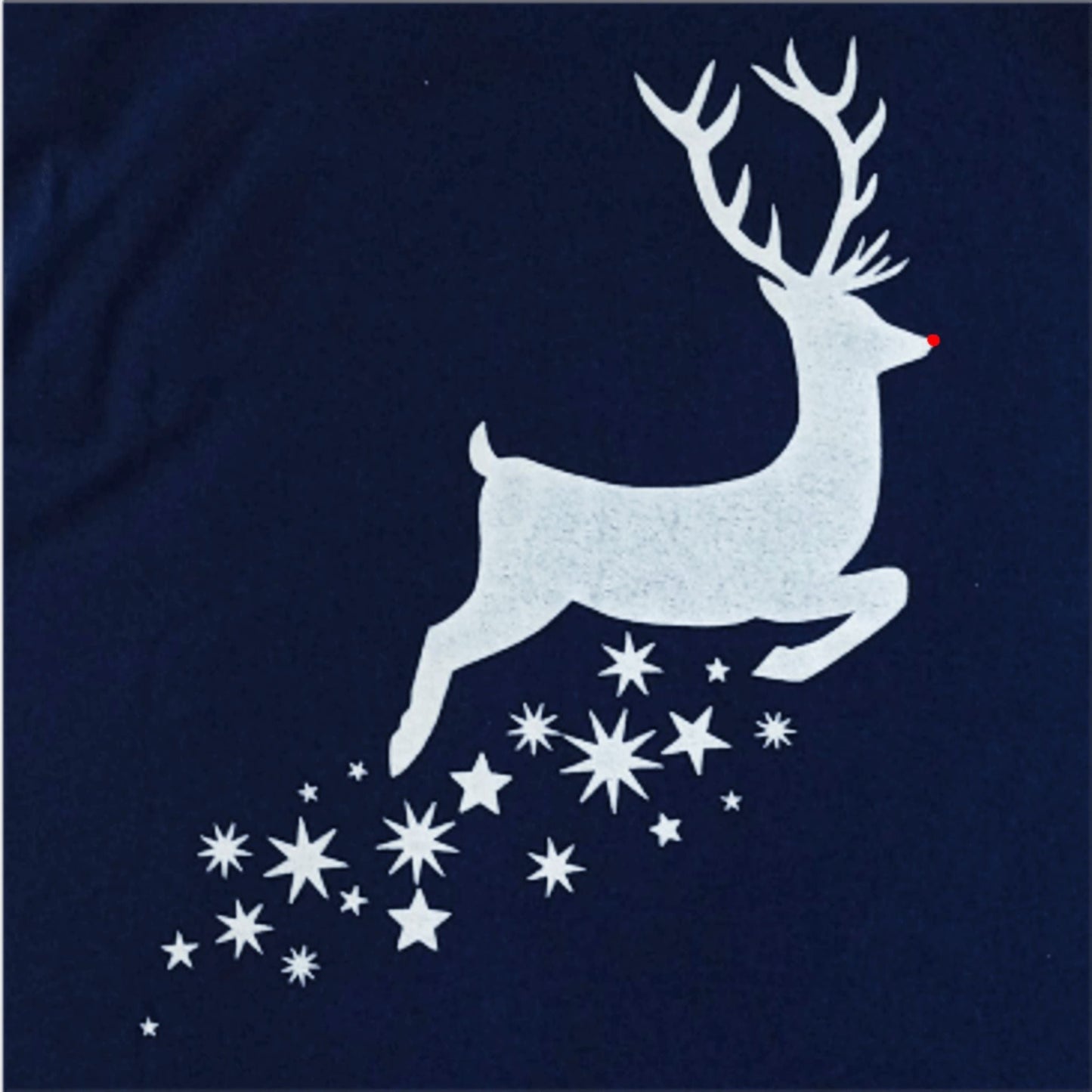 Rudolf T-shirt - SeaNic | Sustainable T-shirts and Gifts